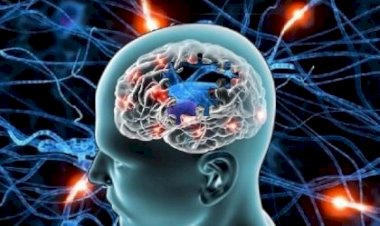 O que está acontecendo de mais moderno na pesquisa sobre o Alzheimer; ‘grande promessa de talvez ter a cura nos próximos anos’, diz especialista