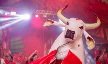 Presidente do Garantido é afastado do cargo pelo Conselho de Ética