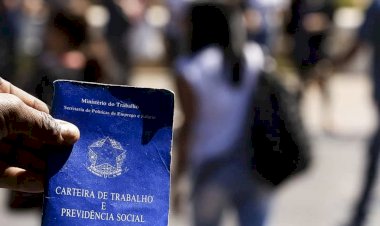 Desemprego cai para 8,3 (%) e atinge 8,9 milhões de brasileiros, diz IBGE