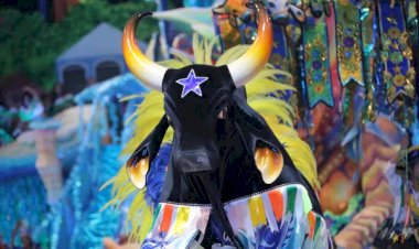 Caprichoso vence 56º Festival Folclórico de Parintins