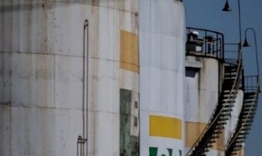 Petrobras bate recorde de produção de gasolina e vendas crescem 26% em junho
