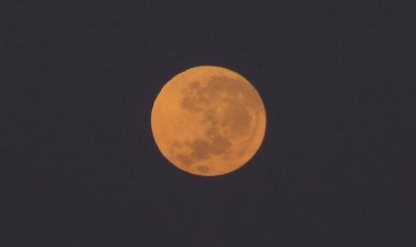 1ª superlua de agosto acontece hoje; confira o melhor horário para observar