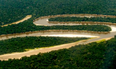“Radiador do mundo”, Floresta Amazônica é responsável por ajudar a regular chuvas na América do Sul