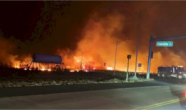 Incêndios florestais no Havaí matam 36 pessoas; moradores entram no mar para se proteger