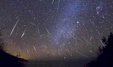 Chuva de meteoros Perseidas, a maior do ano, terá pico neste fim de semana e pode ser vista em todo o Brasil