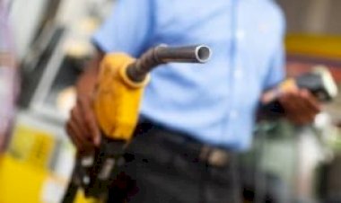 Petrobras aumenta preço da gasolina em R$ 0,41 por litro; diesel ficará R$ 0,78 mais caro nas distribuidoras