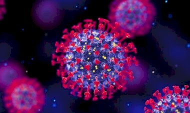 Nova variante da Covid-19 chama a atenção nas últimas semanas
