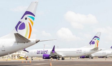 Companhia aérea de baixo custo começa operações no Brasil