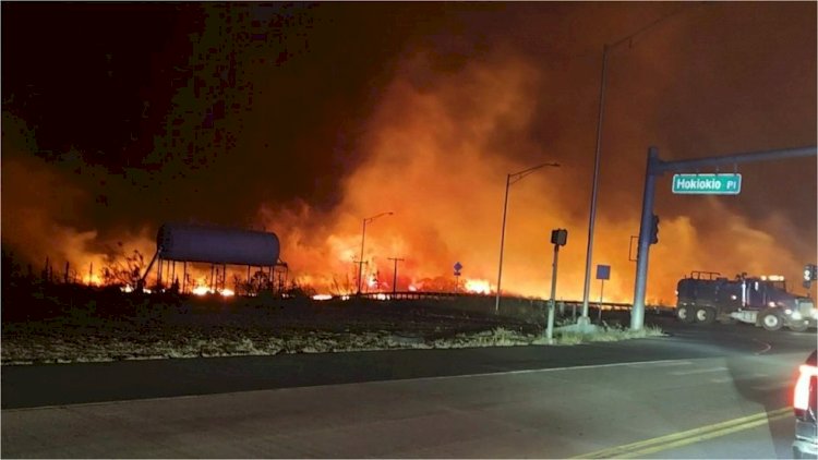 Incêndios florestais no Havaí matam 36 pessoas; moradores entram no mar para se proteger