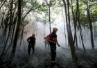 Incêndio de grande proporção atinge área de floresta no Amazonas