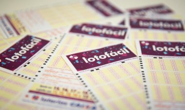 Lotofácil da Independência: 65 apostas acertam os 15 números e levam R$ 2.955.552,77