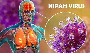 Nipah: quais são os sintomas do vírus que levou Índia ao lockdown