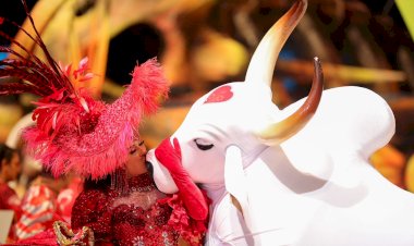 Boi Garantido lança tema oficial para o Festival de Parintins 2024 neste sábado (30)