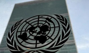 Brasil assume Conselho de Segurança da ONU sem Ucrânia na pauta e driblando temas espinhosos