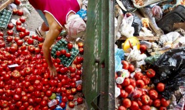 Brasil está entre os países que mais desperdiçam comida no mundo