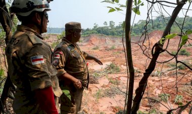 Bombeiros e Defesa Civil analisam margens do rio onde houve desbarrancamento em Beruri