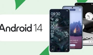Android 14 é lançado pelo Google; veja novas funções da atualização