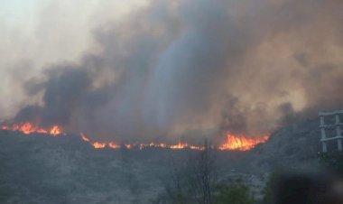 Incêndio florestal atinge arredores de Córdoba, na Argentina, e moradores são evacuados