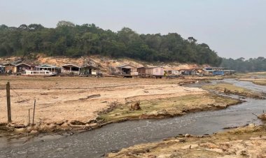 Manaus registra a pior seca da história com nível do Rio Negro em 13,59 metros