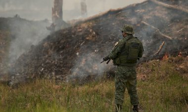 PMAM detém 83 pessoas em ações da força-tarefa contra crimes ambientais