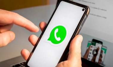 WhatsApp deixará de funcionar em alguns celulares Android a partir desta terça (24)
