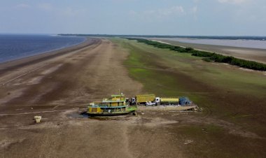 Após seca recorde, Rio Negro volta a subir aqui no Amazonas