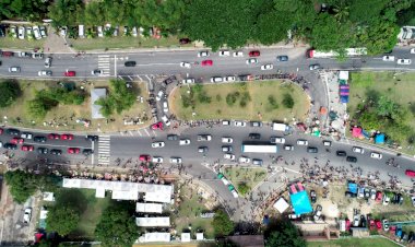 Linhas de ônibus serão reforçadas para o feriado de Finados