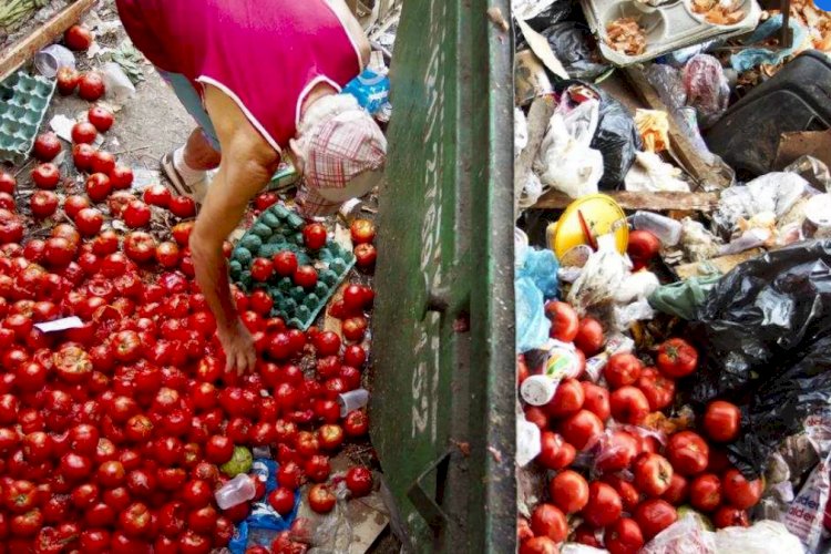 Brasil está entre os países que mais desperdiçam comida no mundo