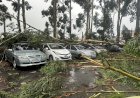SP tem seis mortes após temporal com ventos de mais de 100 km/h, falta de luz e desabamentos