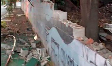 Chuva deixa dois mortos em desabamentos, mais de 100 árvores caídas, e aeroporto de Congonhas sem luz em SP