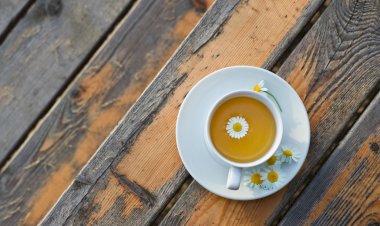 Conheça o chá rico em antioxidante que pode reduzir colesterol ruim