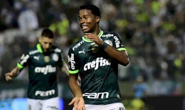 Faltando 4 rodadas para o fim, o Campeonato Brasileiro tem um novo líder, o Palmeiras, o agora vice-líder Botafogo tem um jogo a menos e a diferença é de 2 pontos 62 a 60 pontos