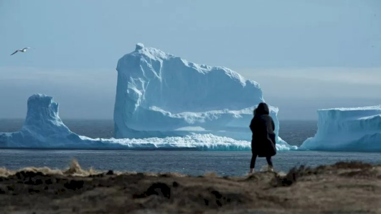 Maior iceberg do mundo se move pela 1ª vez em 30 anos; para onde ele vai?