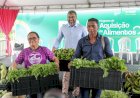 Wilson Lima entrega 80 toneladas de alimentos adquiridos da agricultura familiar a instituições que atendem 10 mil famílias