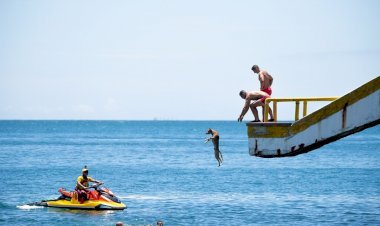 Cachorro caramelo vira 'guarda-vidas' e participa de treinamento em praia do litoral de SP; FOTOS