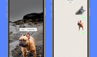 Como criar figurinha com suas fotos e vídeos no WhatsApp