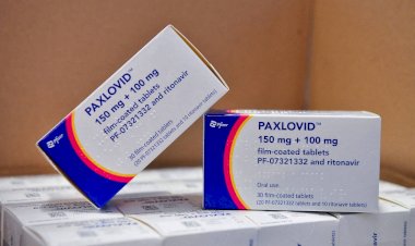 Anvisa aprova registro definitivo do remédio Paxlovid, pílula anti-Covid da Pfizer