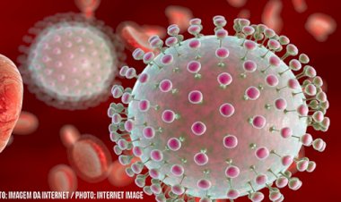 Amazonas em alerta por Febre Oropouche, saiba quais os sintomas