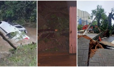 Chuva na Grande SP causa mortes, deixa ruas alagadas, derruba árvores e suspende pousos em Congonhas