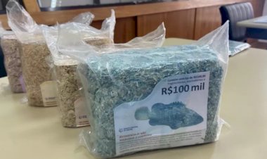 Notas de R$ 100 viram souvenir: colecionador lucra com dinheiro destruído