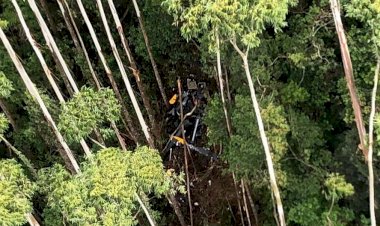 Helicóptero que caiu em SP se chocou com árvore, diz Cenipa