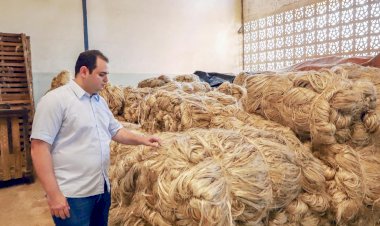 De autoria de Roberto Cidade, a ‘Política Estadual de Incentivo às Agroindústrias’ vira lei e deve ordenar o segmento no Amazonas