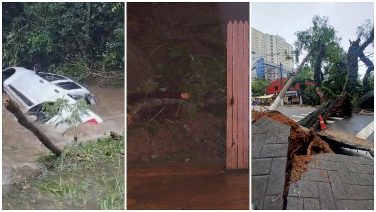 Chuva na Grande SP causa mortes, deixa ruas alagadas, derruba árvores e suspende pousos em Congonhas