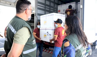 Amazonas recebe 78.760 doses de vacina contra a dengue do Ministério da Saúde