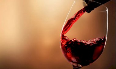 Vinho tinto: bebida deixa de ser a queridinha na medicina; entenda