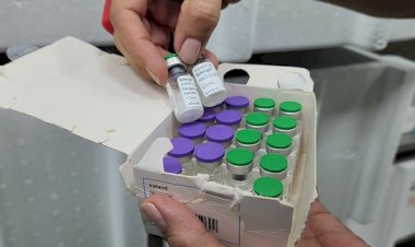 Veja pontos de vacinação contra dengue em Manaus; campanha inicia nesta quinta-feira (22)