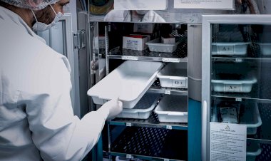 Estoque de sangue está baixo e Hemoam convoca doadores do tipo O