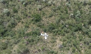 Três pessoas morrem após avião Vans - RV10 cair em área de vegetação no oeste da Bahia