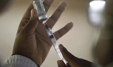 Alemão vacinou-se 217 vezes contra a covid-19