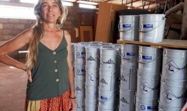 Cientistas testam tinta inseticida que pretende eliminar o Aedes aegypti